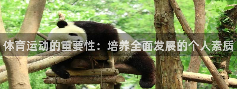 678体育官网地址