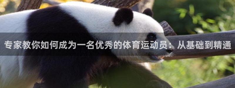 678体育官网下载