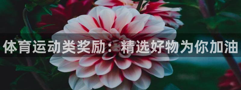 678体育官网