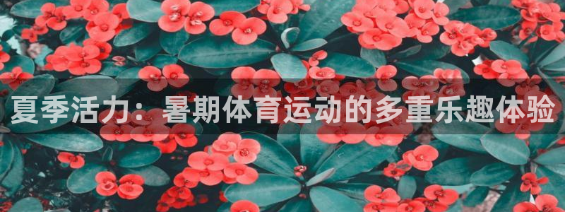 678体育