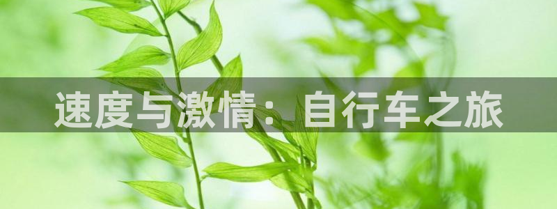 678体育官网下载