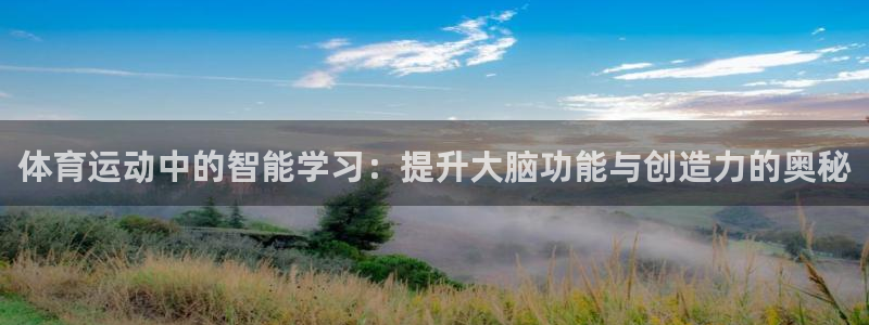 678体育官网地址
