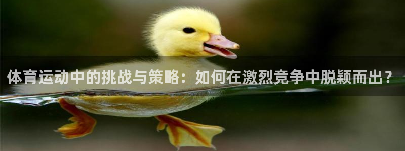 678体育官网下载